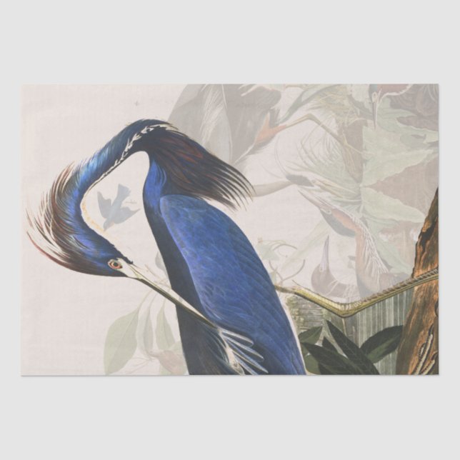 Audubon Reiher-Vogel-Tier-Gewebe-Papier Seidenpapier (Vorderseite)