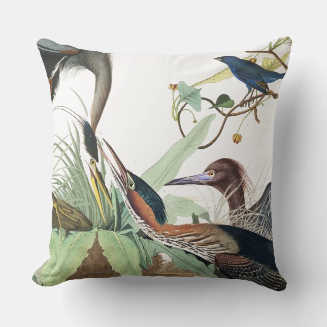 Audubon Reiher-Vogel-Tier-TierWurfs-Kissen Kissen (Vorderseite)