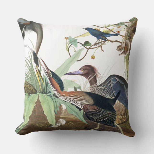 Audubon Reiher-Vogel-Tier-TierWurfs-Kissen Kissen (Vorderseite)