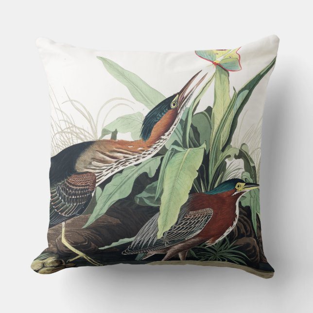 Audubon Reiher-Vogel-Tier-TierWurfs-Kissen Kissen (Vorderseite)
