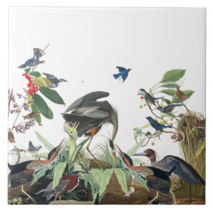 Audubon Reiher Vögel Wildlife Collage Fliese