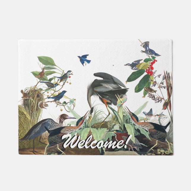 Audubon Reiherloon-Drossel-Vogel-willkommene Fußmatte (Vorderseite)