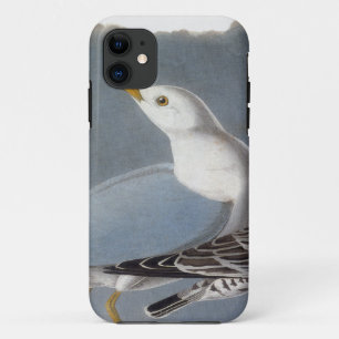 Audubon: Ring-Berechnete Möve Case-Mate iPhone Hülle