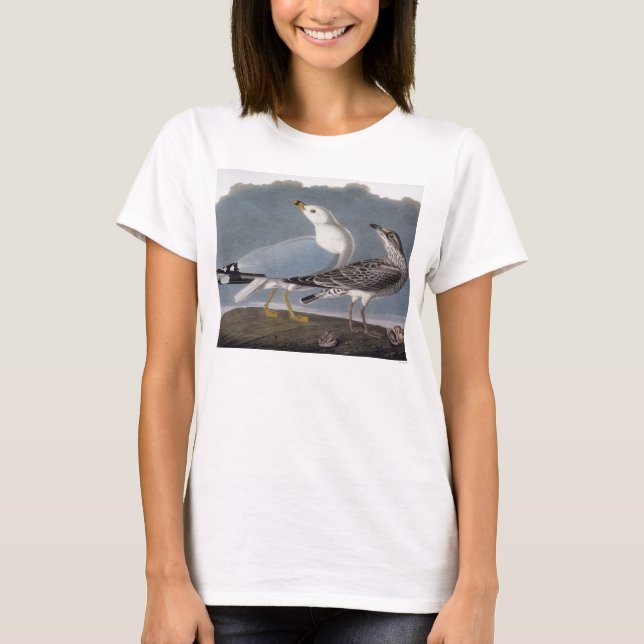 Audubon: Ring-Berechnete Möve T-Shirt (Vorderseite)