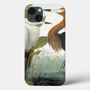 Audubon: Rötlicher Reiher oder lila Reiher Case-Mate iPhone Hülle