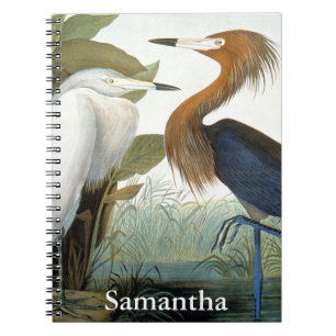 Audubon: Rötlicher Reiher oder lila Reiher Notizblock