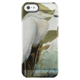 Audubon: Rötlicher Reiher oder lila Reiher Durchsichtige iPhone SE/5/5s Hülle