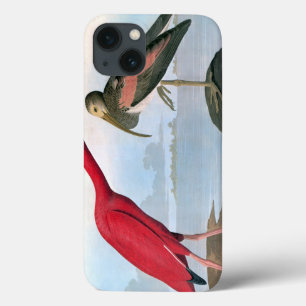 Audubon: Scharlachrot IBIS Case-Mate iPhone Hülle