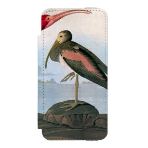 Audubon: Scharlachrot IBIS Incipio Watson™ iPhone 5 Geldbörsen Hülle