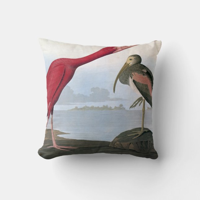 Audubon: Scharlachrot IBIS Kissen (Vorderseite)