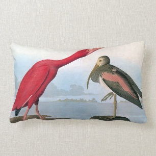 Audubon: Scharlachrot IBIS Lendenkissen