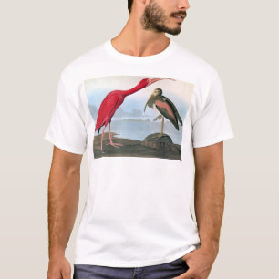 Audubon: Scharlachrot IBIS T-Shirt