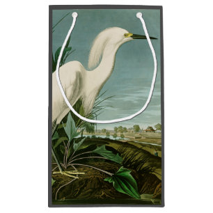 Audubon Schneeregenpfeifer Weißer Reiher Vogel Vog Kleine Geschenktüte