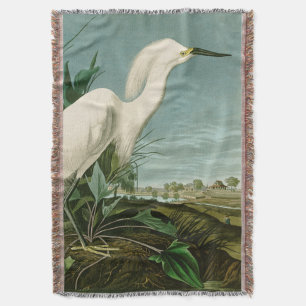 Audubon Schneeregenpfeifer Weißer Silberreiher Vog Decke