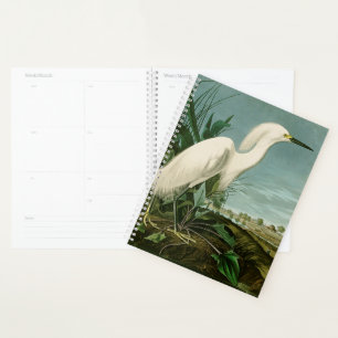 Audubon Schneereiher Weißer Reiher Vogel Vogelbeob Planer