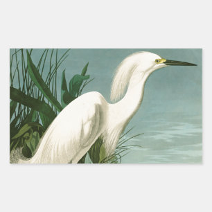 Audubon Schneereiher Weißer Reiher Vogel Vogelbeob Rechteckiger Aufkleber