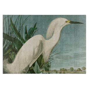 Audubon Schneereiher Weißer Reiher Vogel Vogelbeob Schneidebrett