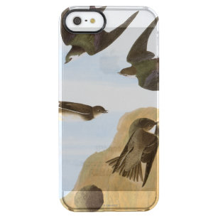 Audubon: Schwalben Durchsichtige iPhone SE/5/5s Hülle
