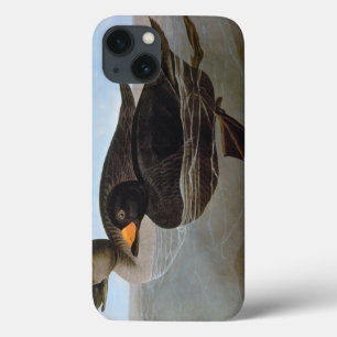 Audubon: Schwarze Ente Case-Mate iPhone Hülle
