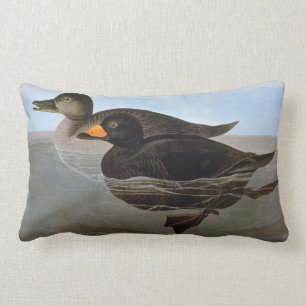 Audubon: Schwarze Ente Lendenkissen