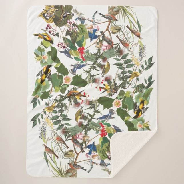 Audubon Singvogel-Vogel-wild lebende Tiere Sherpa Sherpadecke (Vorderseite)