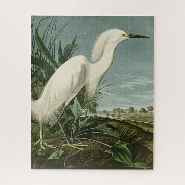 Audubon Snowy Heron White Egret Bird (Vertikal)