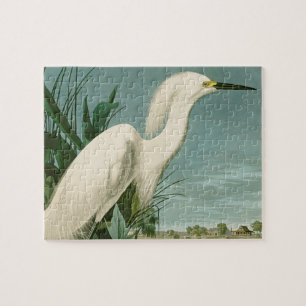 Audubon Snowy Heron White Egret Bird