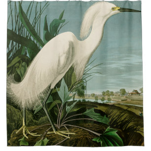 Audubon Snowy Heron White Egret Bird Vogelbeobacht Duschvorhang