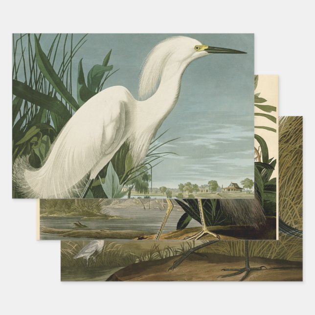 Audubon Snowy Heron White Egret Bird Vogelbeobacht Geschenkpapier Set (Set)