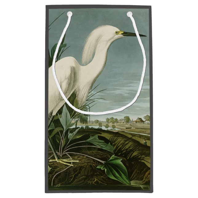 Audubon Snowy Heron White Egret Bird Vogelbeobacht Kleine Geschenktüte (Rückseite)