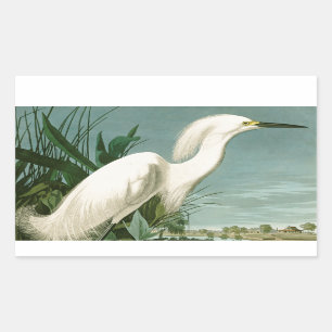Audubon Snowy Heron White Egret Bird Vogelbeobacht Rechteckiger Aufkleber