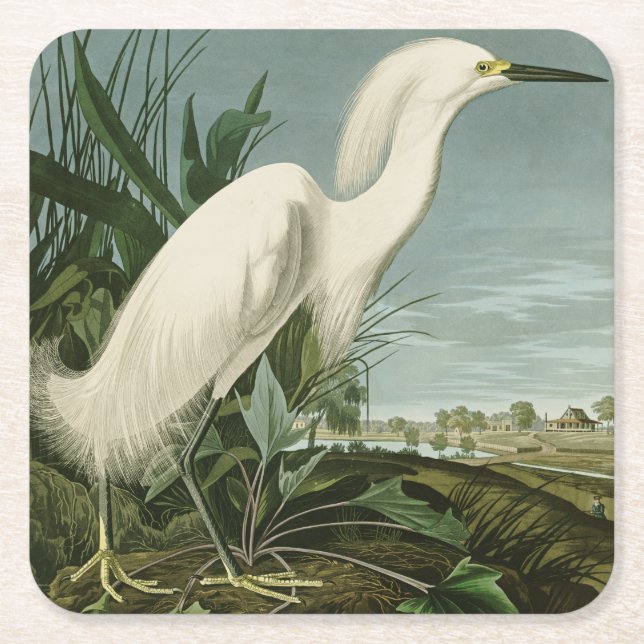 Audubon Snowy Heron White Egret Bird Vogelbeobacht Rechteckiger Pappuntersetzer (Vorderseite)