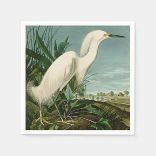 Audubon Snowy Heron White Egret Bird Vogelbeobacht Serviette
