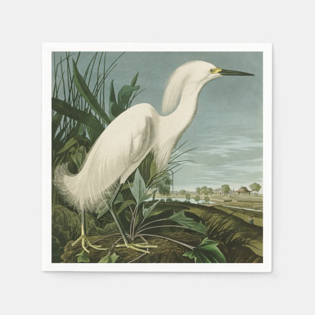 Audubon Snowy Heron White Egret Bird Vogelbeobacht Serviette (Vorderseite)