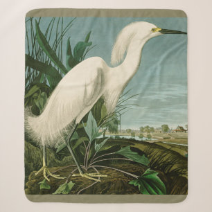 Audubon Snowy Heron White Egret Bird Vogelbeobacht Sherpadecke