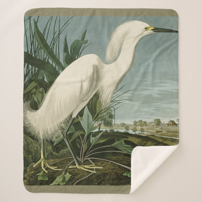 Audubon Snowy Heron White Egret Bird Vogelbeobacht Sherpadecke (Vorderseite)