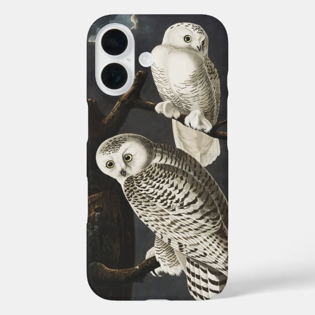 Audubon Snowy Owl Bird Artwork iPhone 16 Hülle (Rückseite)