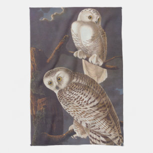 Audubon Snowy White Eulen auf einer dunklen Handtuch