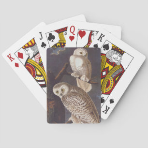 Audubon Snowy White Owls auf einer dunklen wolkige Spielkarten