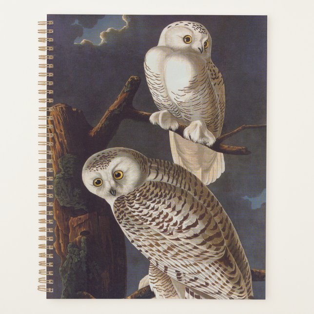 Audubon Snowy White Owls on a Dark Cloudy Night Planer (Vorderseite)