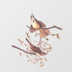 Audubon Song Sparrow mit Tiny Spider Fensteraufkleber