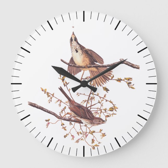 Audubon Song Sparrow mit Tiny Spider Große Wanduhr (Vorderseite)