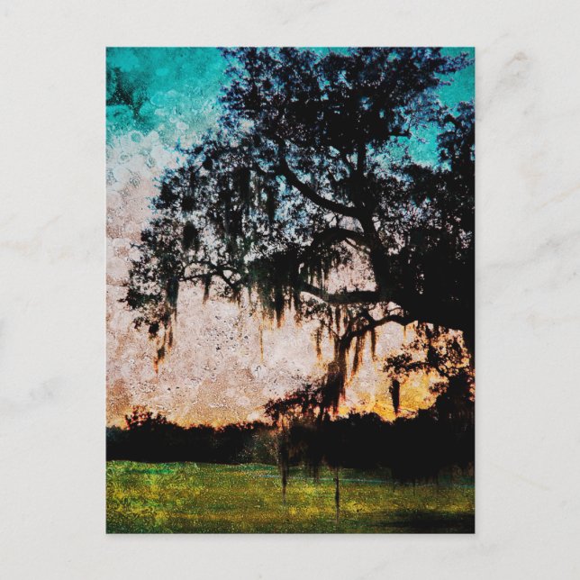 Audubon Sunset Textures Postkarte (Vorderseite)