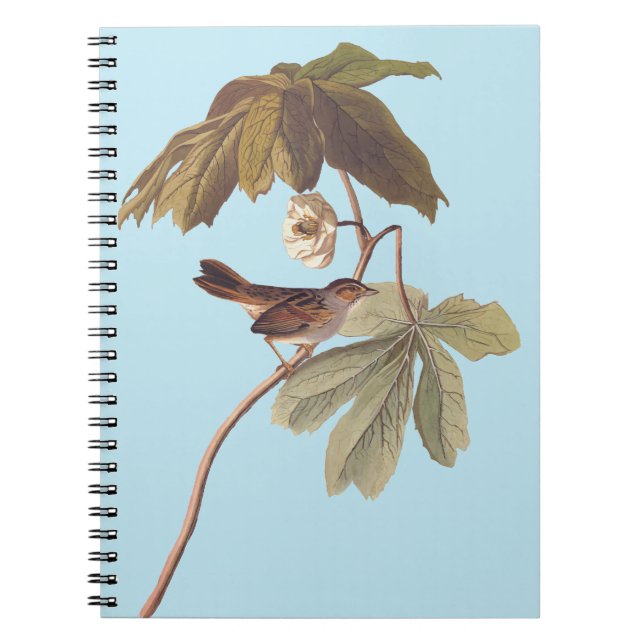 Audubon Swamp Sparrow Bird on Wild Mandrake Notizblock (Vorderseite)