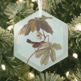 Audubon Swamp Sparrow Bird on Wild Mandrake Ornament Aus Glas