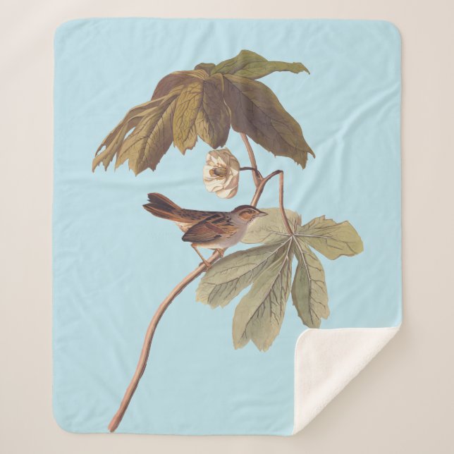 Audubon Swamp Sparrow Bird on Wild Mandrake Sherpadecke (Vorderseite)