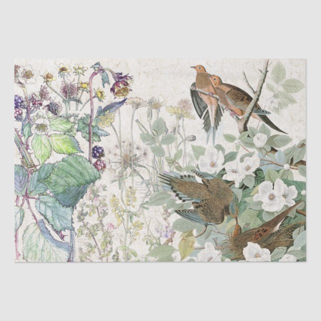Audubon Tauben-Vogel-Wildblume-Blumen-Seidenpapier Seidenpapier (Vorderseite)
