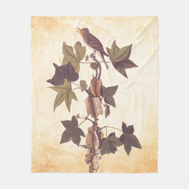 Audubon Traill's Flycatcher Songbird Fleecedecke (Vorderseite)