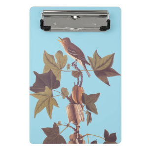 Audubon Traill's Flycatcher Songbird Mini Klemmbrett