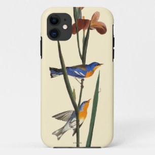 Audubon: Trällerer title_seo2